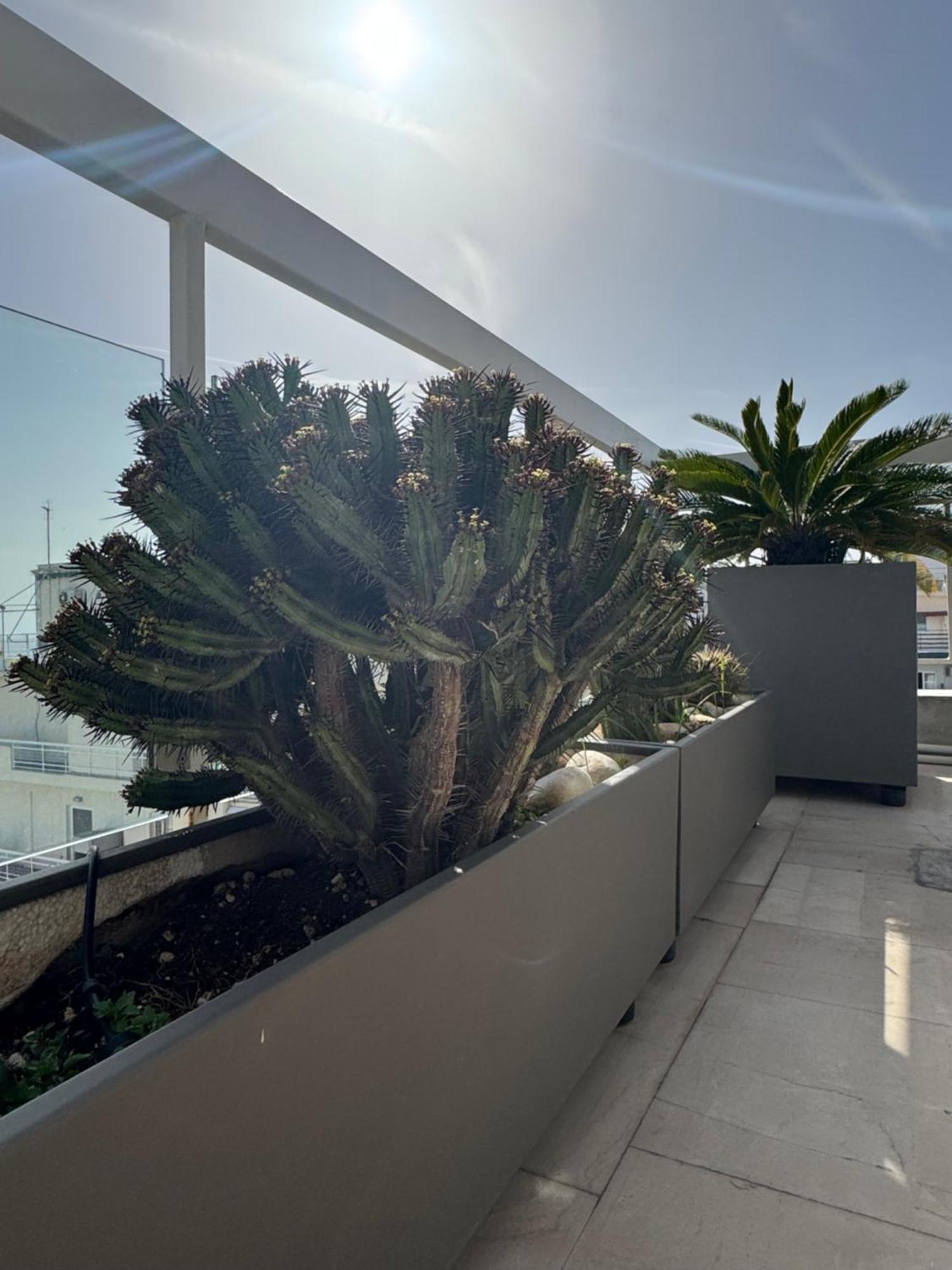 Apartmán Sea Horizon Penthouse Flat Atény Exteriér fotografie